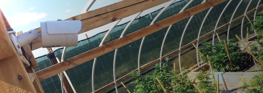 Digital Security Guard for Cannabis Security