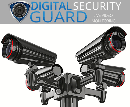 Private Security Services