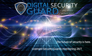 Virtual Security Guard