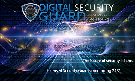 Virtual Security Guard