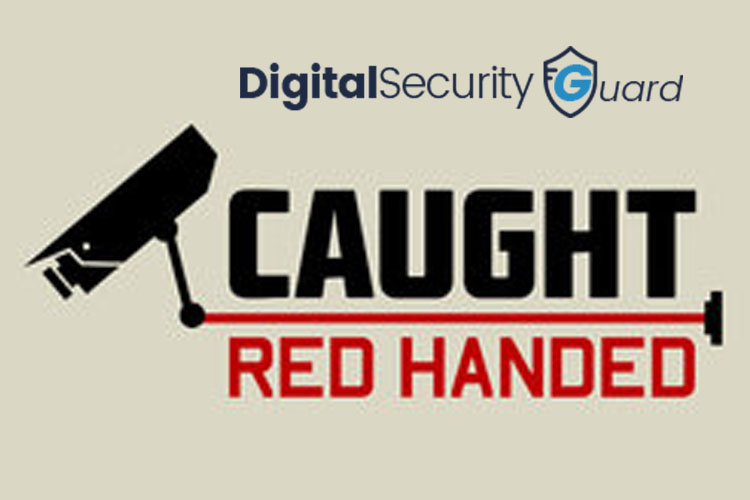 Remote Surveillance Services