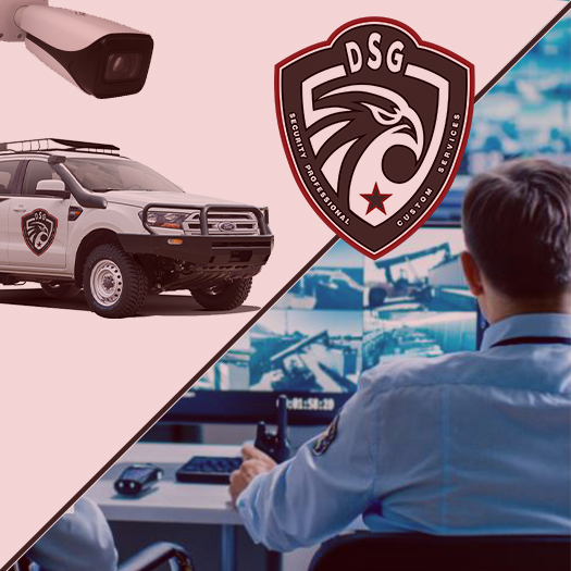 Retail Security System Company